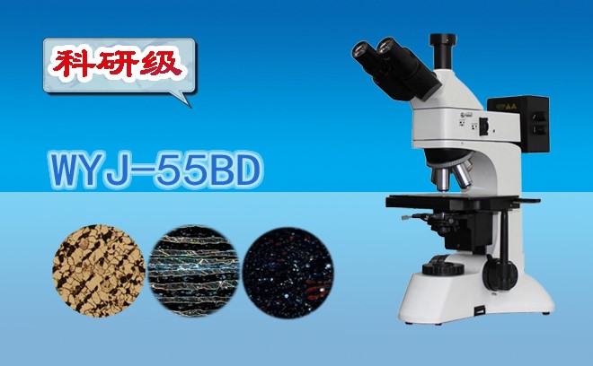 顯微鏡.jpg 顯微鏡.jpg