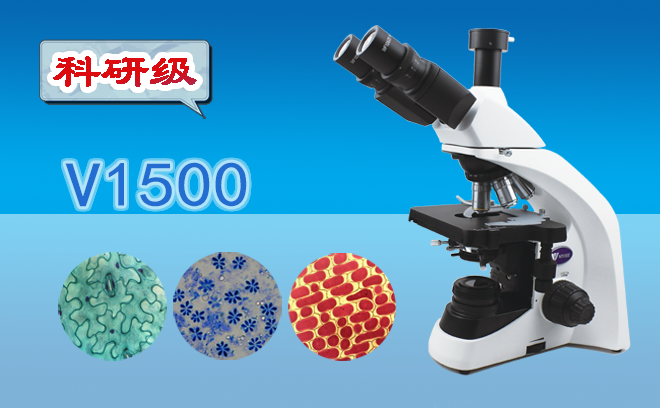 1684977206122202.png 光學顯微鏡.png